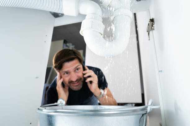 Best Sprinkler Systems  in Carthage, MS